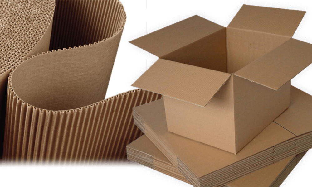 Tìm hiểu về giấy carton và quy trình tái chế
